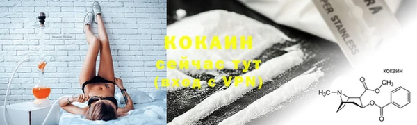 молекула духа Белокуриха
